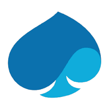 Capgemini w.webp