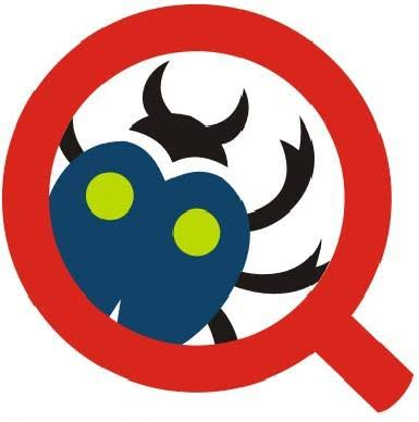 qa mentor.webp